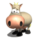 Temporary Picture of Joe