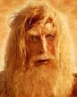 Yellow Beard