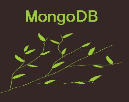 mongodb